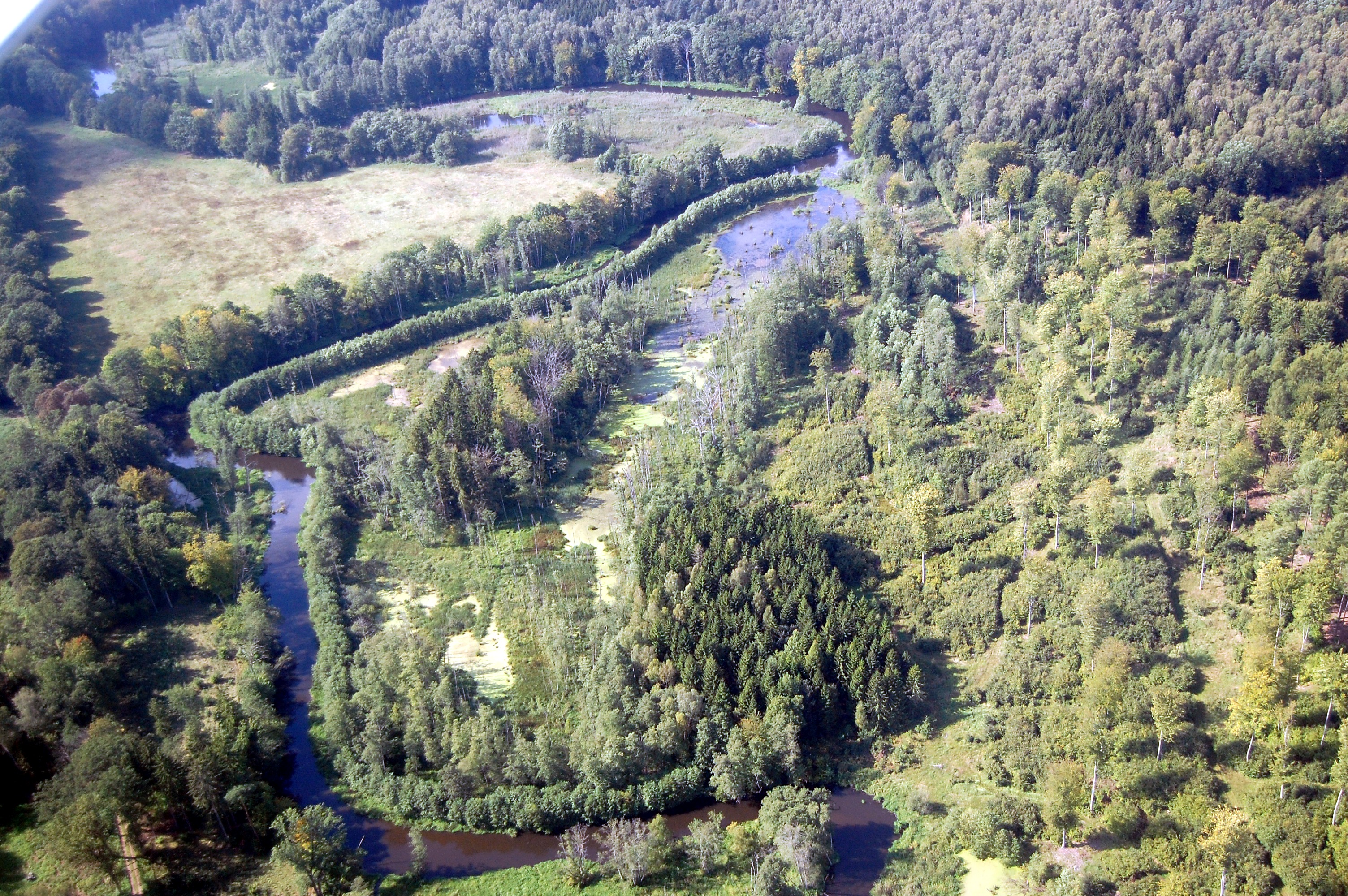 Na zdjęciu lotniczym widoczny jest fragment dorzecza Regi