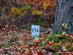 Słupek oddziałowy, fot. Medard Bajlak