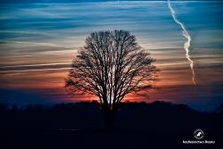 Niebo jak ze snu, fot. Medard Bajlak