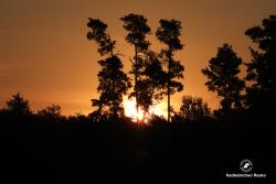 O zachodzie słońca, fot. Medard Bajlak