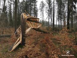 Siła wiatru, fot. Medard Bajlak