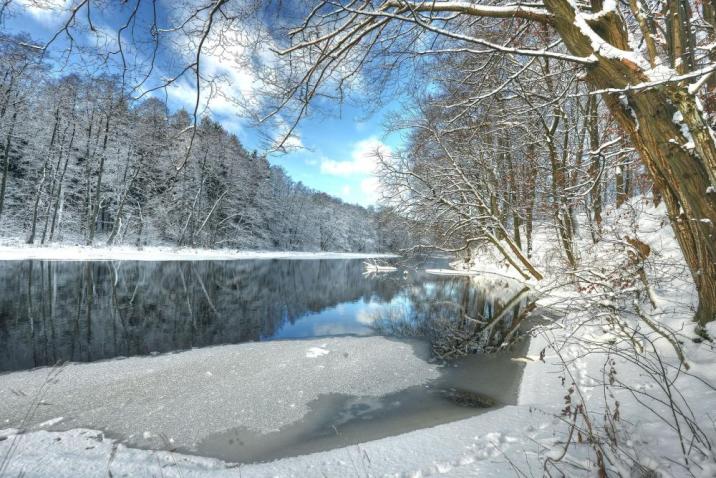 Na zdjęciu rzeka Rega i okoliczne lasy w zimowej szacie. Autor zdjęcia Henryk Janowski