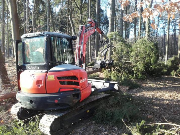 Fotografia Medarda Bajlaka przedstawiająca "miniharwester" okrzesujący świerka