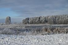 2 lutego obchodzimy World Wetland Day, czyli Światowy Dzień Mokradeł