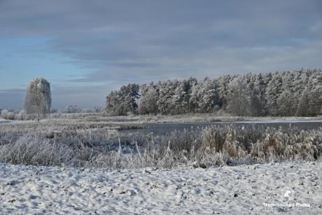 2 lutego obchodzimy World Wetland Day, czyli Światowy Dzień Mokradeł