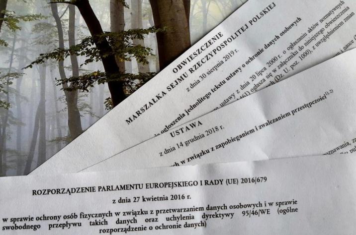 Grafika prezentująca dokumenty na tle lasu